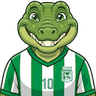 Miguel Á. S.